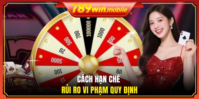 Cách hạn chế rủi ro vi phạm quy định